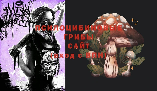 гашик Новокубанск
