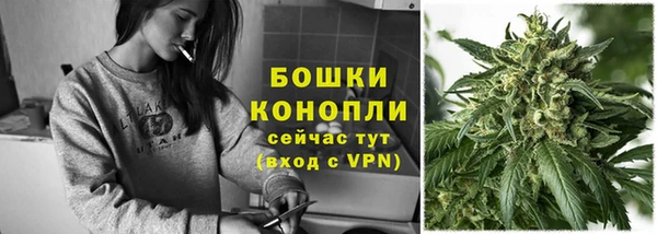 молекула духа Няндома