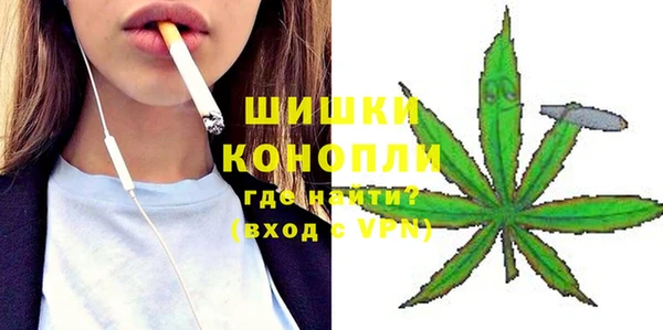 молекула духа Няндома
