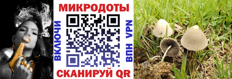 Псилоцибиновые грибы MAGIC MUSHROOMS  как найти закладки  Мышкин 